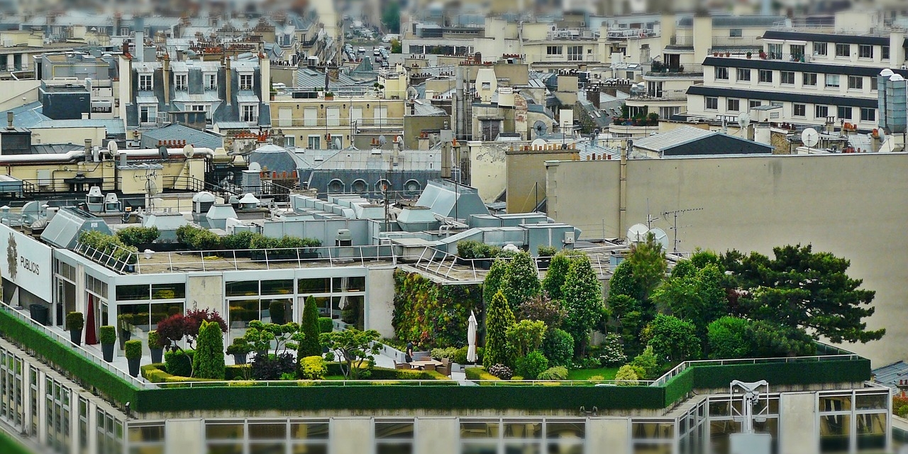 Recherche de fuite d'eau sur toit-terrasse