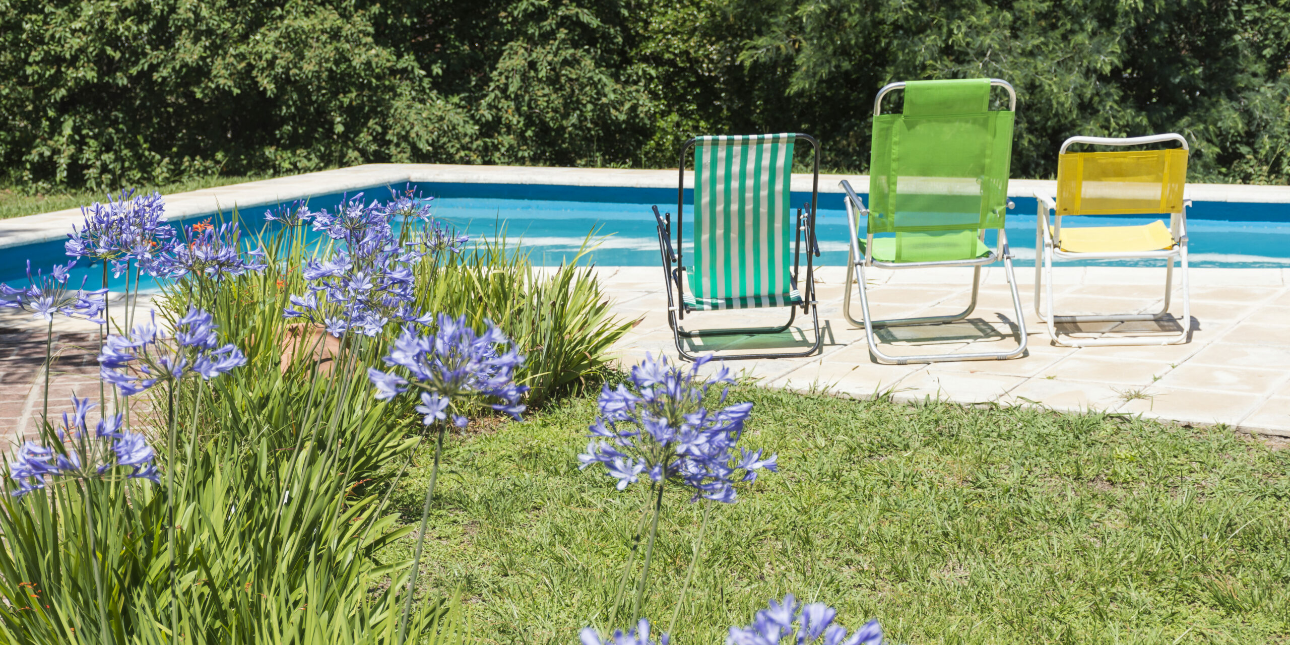 Fuite d’eau extérieure près d’une piscine avec chaises de jardin, pelouse verte et massifs de fleurs.