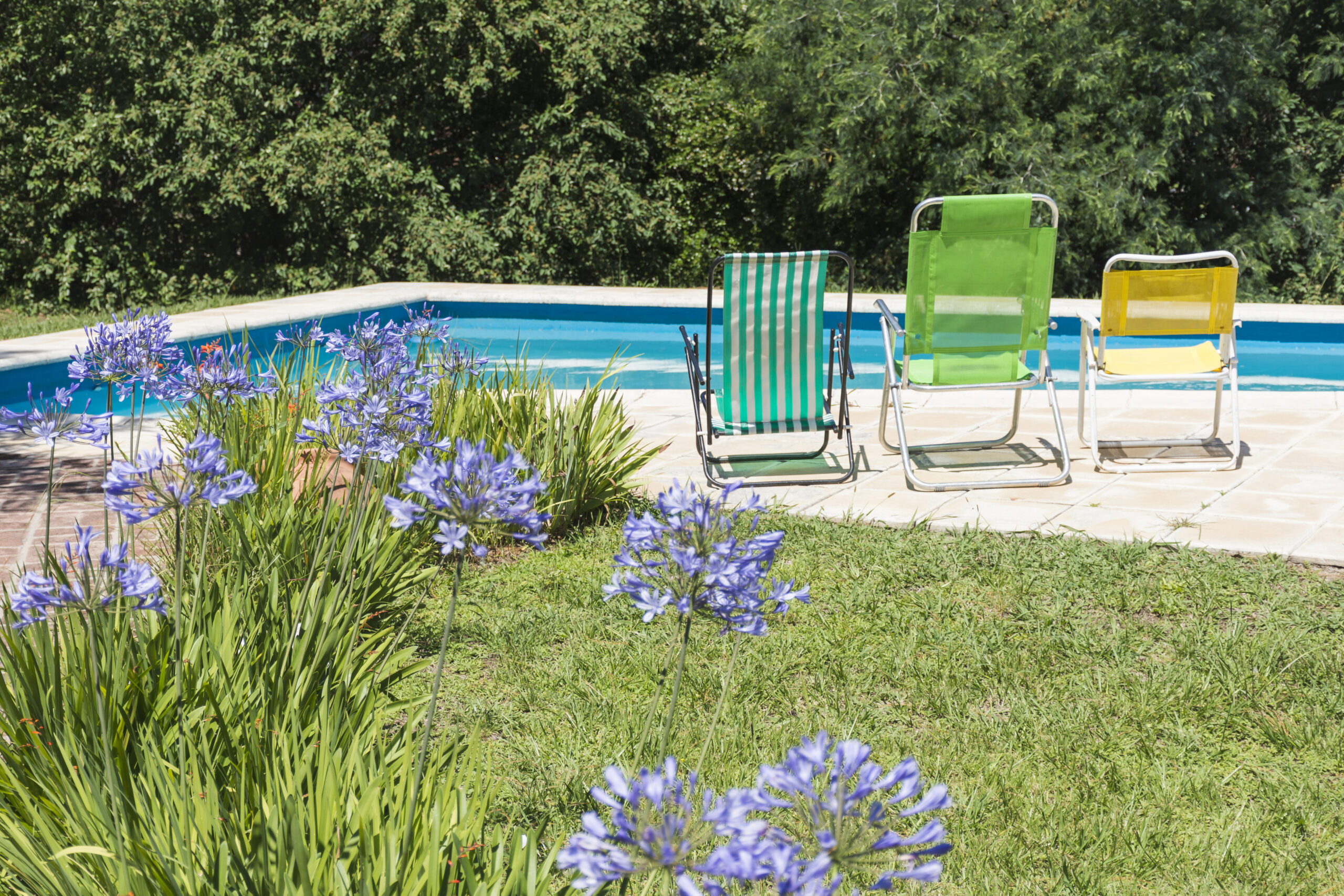 Fuite d’eau extérieure près d’une piscine avec chaises de jardin, pelouse verte et massifs de fleurs.